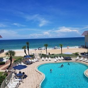 Meet your Posher, Shelly